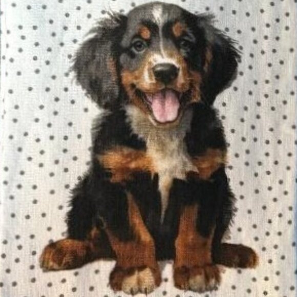NWT & HARD TO FIND 3 PACK BERNESE MOUNTAIN DOG PUPPY PLUS GREY ABSORBENT TOWELS - Picture 4 of 12